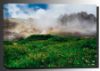 Picture of Wildflowers on Imogene Pass 36x24 *D