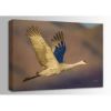 Picture of Sandhill Crane at Dawn 36x24 *D