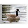 Picture of Grand Goose 24x16 *D