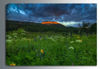 Picture of Wildflowers Mountain Majesty 36x24 *D