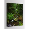Picture of Spring Runoff at Quinault River 24x36 *D