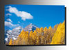 Picture of Maroon Bells In Autumn 32x48 *D