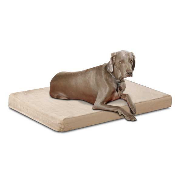 0008743_health-care-memory-foam-pet-bed-suede.jpeg