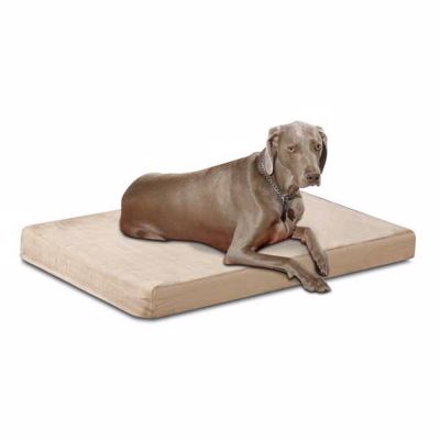 Picture of Healthcare Memory Foam Pet Bed Suede