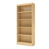 Picture of Axess 5-Shelf Bookcase *D