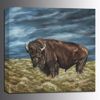 Picture of Lone Buffalo 36x36 *D