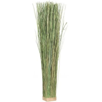 0046802_green-decorative-grass.jpeg