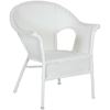 Picture of Resin Wicker Arm Chair in White