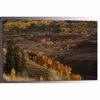 Picture of Crested Butte Autumn 24x36 *D