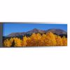 Picture of Autumns Gift 20x60 *D