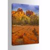 Picture of Cathedral Rocks Sedona AZ 32x48 *D