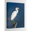 Picture of Snowy Egret 16x24 *D
