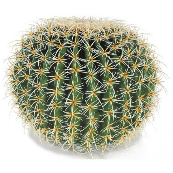 Picture of 19in Cactus Ball