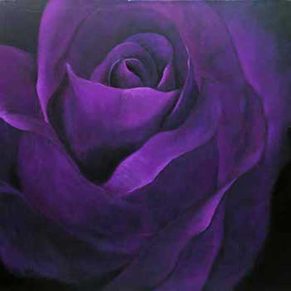 Picture of Precious I Purple Rose