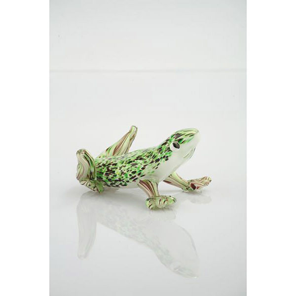 Picture of Green Glass Frog
