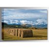 Picture of Colorado Hay Bales 36x24 *D