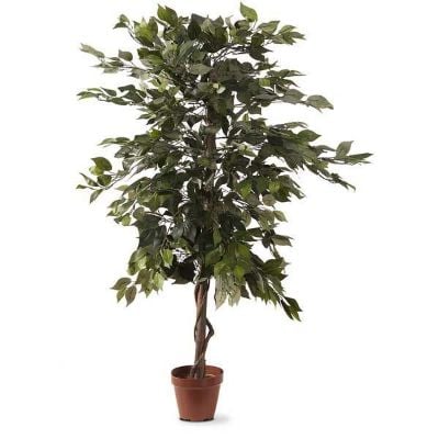 0075028_faux-ficus-tree.jpeg