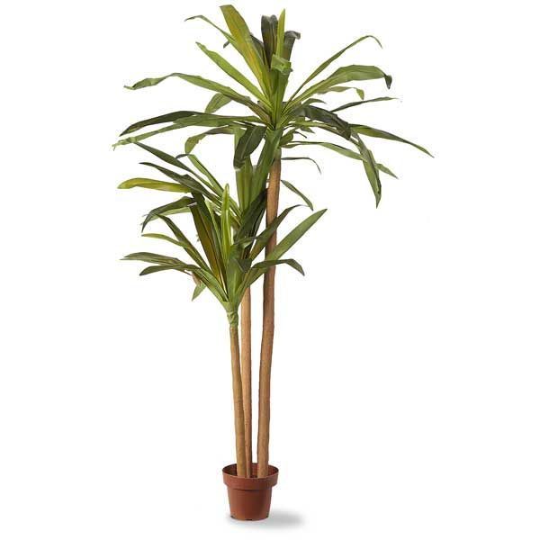 Picture of Faux Palm Tree