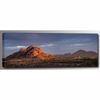 Picture of Papago Morning Light 60x20 *D