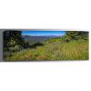 Picture of Shrine Ridge Summer Flowers 60x20 *D