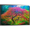 Picture of Japanese Maple 1 32x48 *D