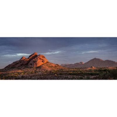 Picture of Papago Morning Light 60x20 *D