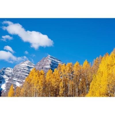 0084067_maroon-bells-in-autumn-32x48-d.jpeg