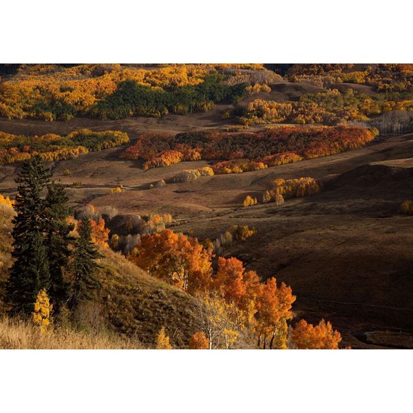 Crested Butte Autumn 24x36