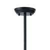 Picture of Belfast Ceiling Lamp Black *D