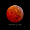 Picture of Lunar Eclipse 24x24 *D