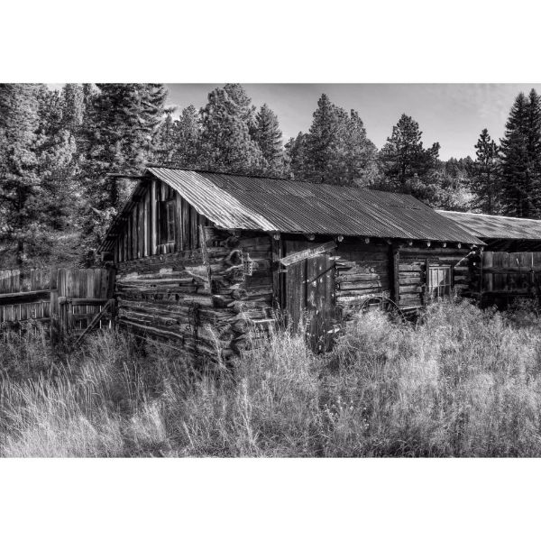 Picture of Blacksmith's Shack 36x24 *D