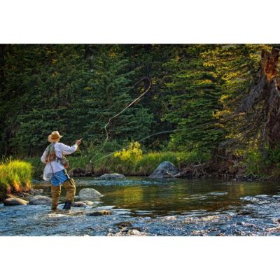 0084283_fly-fishing-perfection-color-48x32-d.jpeg