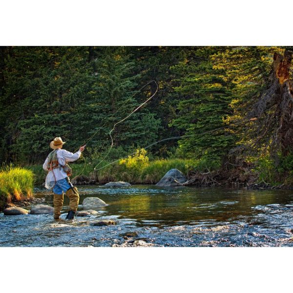 Picture of Fly Fishing Perfection-Color 48x32 *D