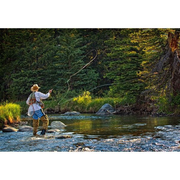 Fly Fishing Perfection-Color 48x32