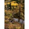 Fall in the Colorado Rockies 24x36