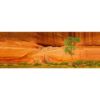 Picture of Canyon de Chelly Whitehouse Ruins 60x20 *D