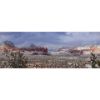 Picture of Sedona Arizona Snowstorm 60X20 *D