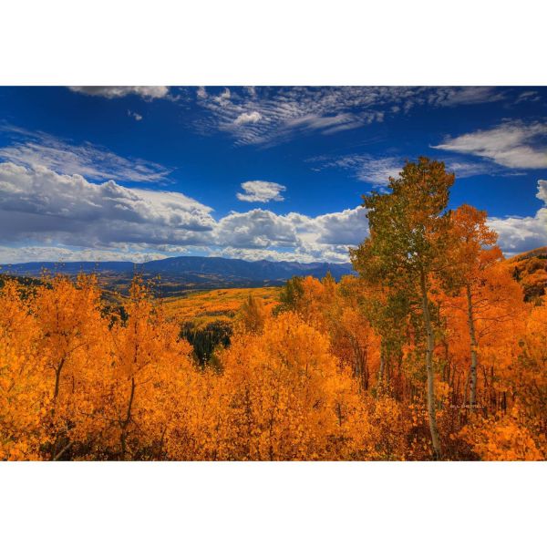 Picture of Autumn Wildfire Ohio Pass *D