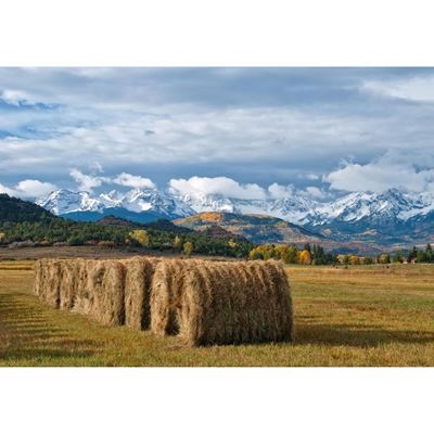 Colorado Hay Bales 36x24