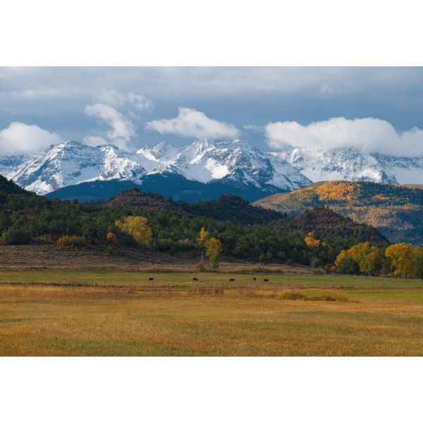 Picture of Colorado San Juans 48x32 *D