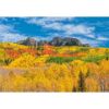 Picture of Autumn Colors At Kebler Pass 36x24 *D