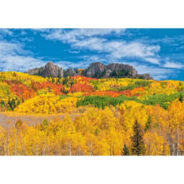 Picture of Autumn Colors At Kebler Pass 36x24 *D