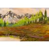 Picture of Mountain Meadow 48x32 *D