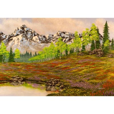 Picture of Mountain Meadow 48x32 *D