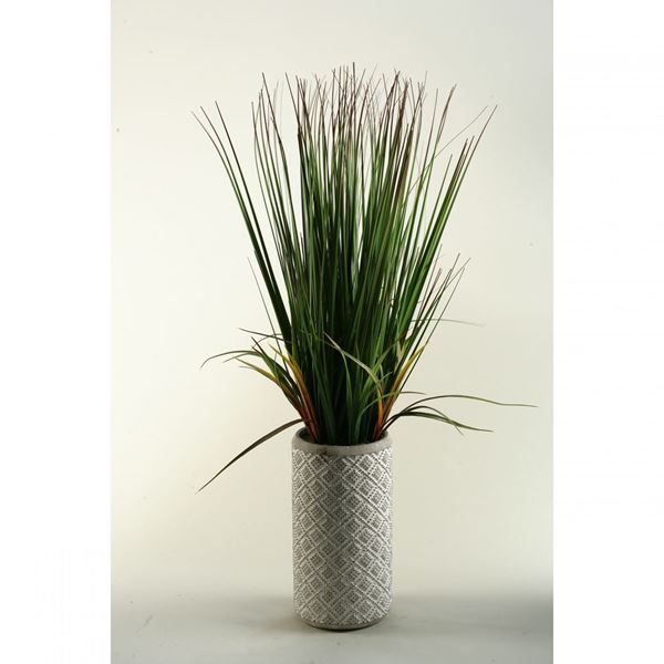 Picture of Onion Grass In Tall Ceramic