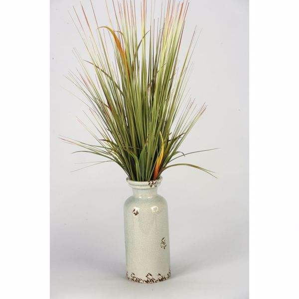 Picture of Onion Grass In Ceramic