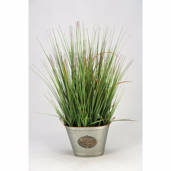 Picture of Onion Grass In Metal
