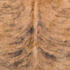 Picture of Brindle Authentic Brazil Hide