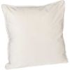 0091696_18x18-cream-velvet-pillow.jpeg