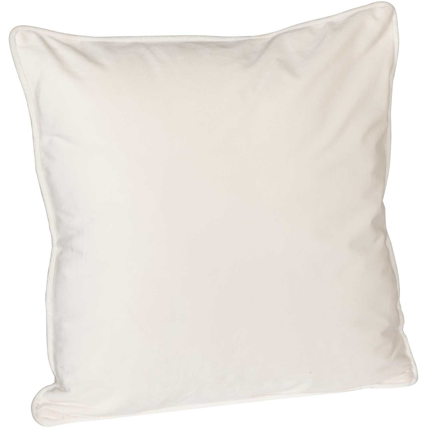 https://images.afw.com/images/thumbs/0091696_18x18-cream-velvet-pillow.jpeg